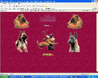 MascheradiFerro.com nel 2005