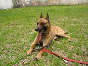 Blasco