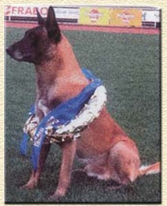 Klemm