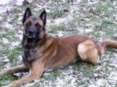 Talos