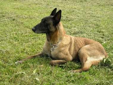 Nadine