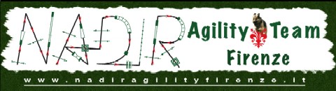 NADIR Agility Team Firenze