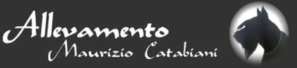 Allevamento Schnauzer di Maurizio Catabiani 
