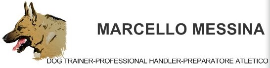 Marcello Messina
