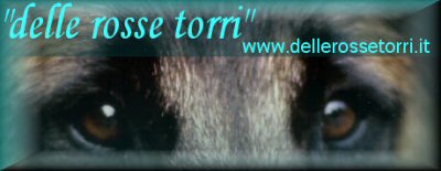 Delle Rosse Torri