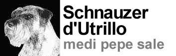 Allevamento Schnauzer medi pepe sale